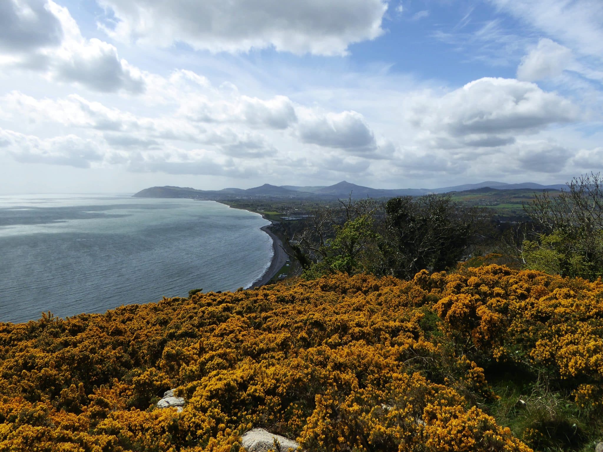 View of the sea from Killiney Hill, one of the most beautiful viewpoints in Dublin.